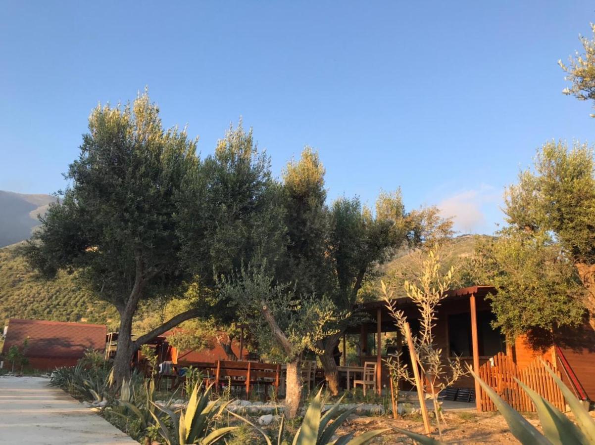 Violet Village Borsh Exterior foto