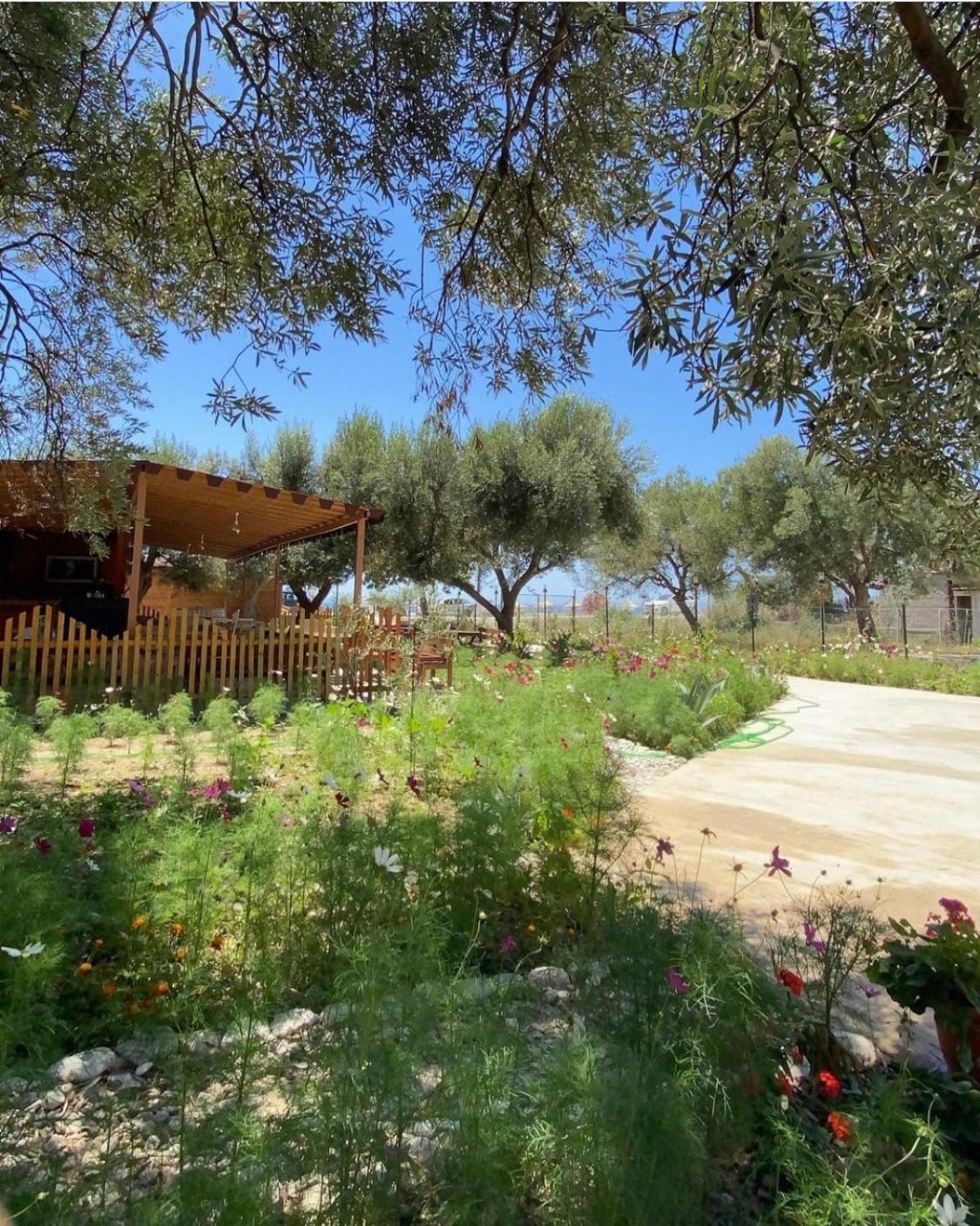 Violet Village Borsh Exterior foto