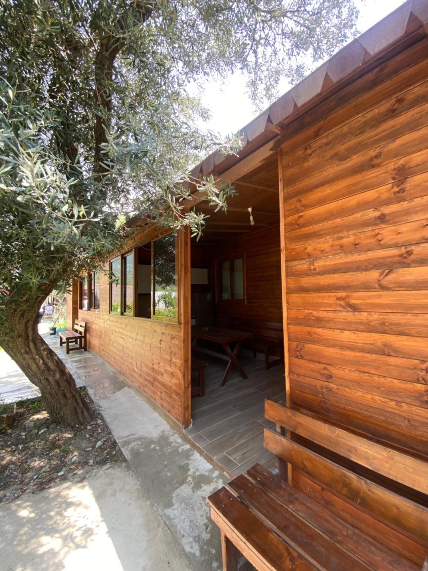 Violet Village Borsh Exterior foto